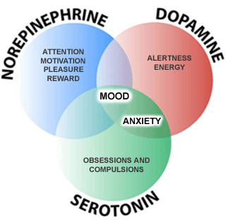 norepinephrine