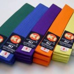 What Do The Colors Of Traditional Karate Belts Mean?