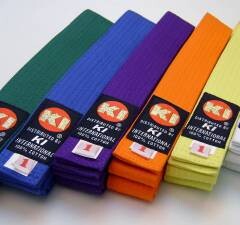 What Do The Colors Of Traditional Karate Belts Mean?