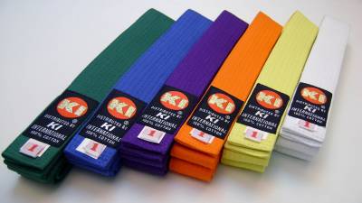 What Do The Colors Of Traditional Karate Belts Mean?